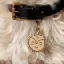 Two Tails Pet Company Smiling Sun Pet ID Tag image thumbnail 2