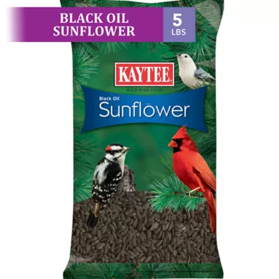 Product Kaytee Black Oil Sunflower Wild Bird Food 5 Lb