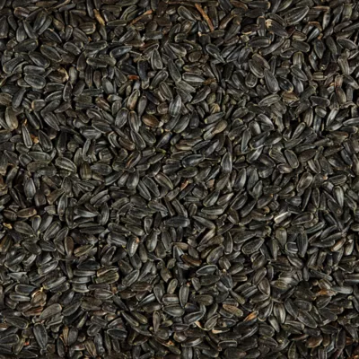 Product Kaytee Black Oil Sunflower Wild Bird Food 5 Lb
