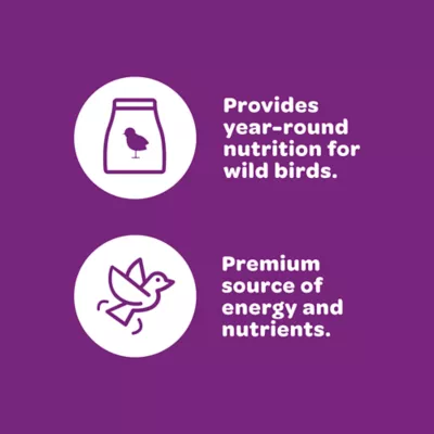 KAYTEE® Nut & Fruit Blend Wild Bird Food - Image 4