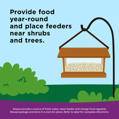 KAYTEE® Nut & Fruit Blend Wild Bird Food - Image 6