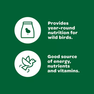 KAYTEE® Wild Bird Food - Image 3