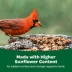 KAYTEE® Wild Bird Food image thumbnail 6