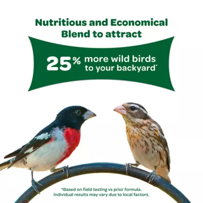 Product KAYTEE® Wild Bird Food