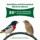 Product KAYTEE® Wild Bird Food