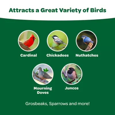 Product KAYTEE® Wild Bird Food