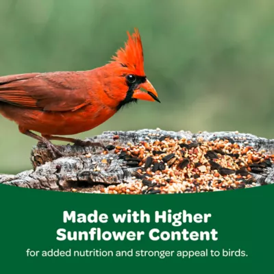 Product KAYTEE® Wild Bird Food