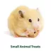 Kaytee Timothy Biscuits Baked with Carrot Small Animal Treat image thumbnail 4