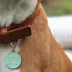 Two Tails Pet Company 'That Is So Fetch' Pet ID Tag image thumbnail 3