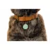 Two Tails Pet Company 'That Is So Fetch' Pet ID Tag image thumbnail 4