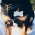 Two Tails Pet Company 'Treat Yo Self' Pet ID Tag image thumbnail 2