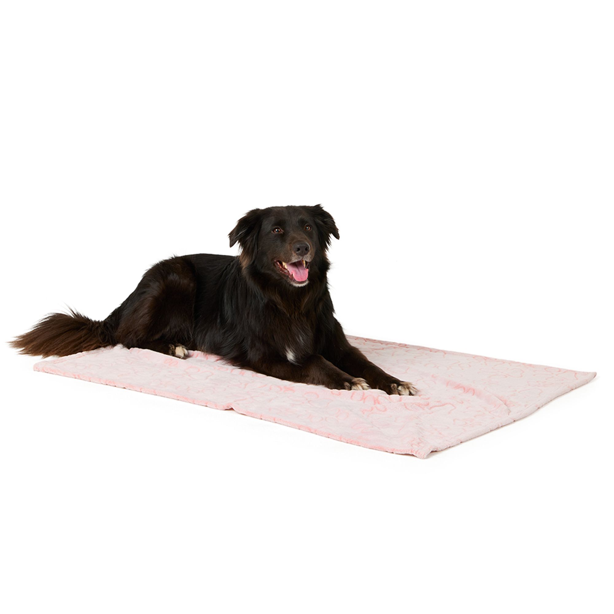 Blankets for Dogs Pets PetSmart Canada