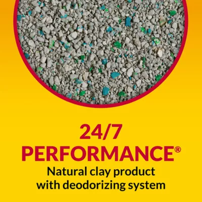 Product Purina® Tidy Cats® 24/7 Performance Non-Clumping Multi-Cat Clay Cat Litter - Low Dust