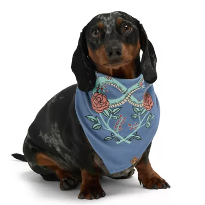 Product Hotal Doggy Dog Bandana - Infinity Love & Roses