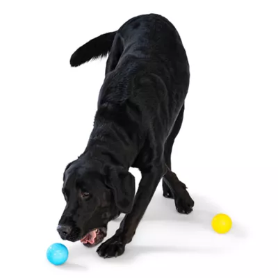 Product West Paw Zogoflex Boundr™ Ball Dog Toy 2-Pack