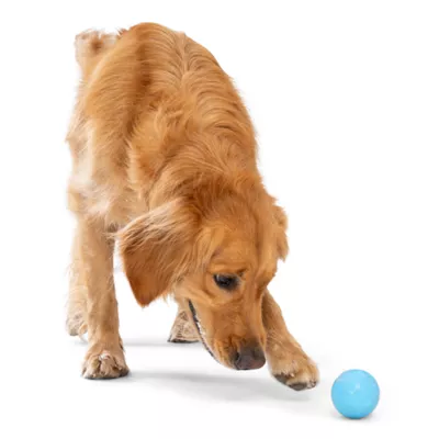 Product West Paw Zogoflex Boundr™ Ball Dog Toy 2-Pack