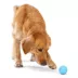 West Paw Zogoflex Boundr™ Ball Dog Toy 2-Pack image thumbnail 6