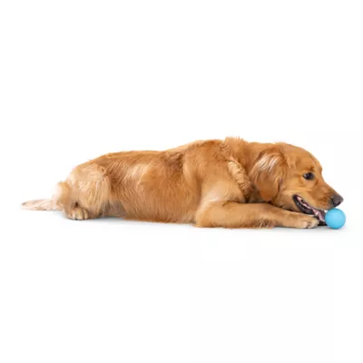 Product West Paw Zogoflex Boundr™ Ball Dog Toy 2-Pack