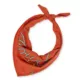 Product Hotel Doggy Dog Bandana - Howdy Lasso