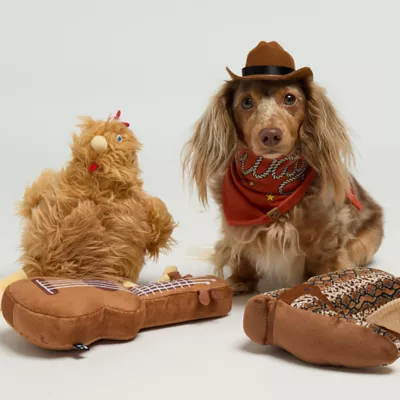 Product Hotel Doggy Dog Bandana - Howdy Lasso