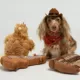 Product Hotel Doggy Dog Bandana - Howdy Lasso