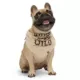 Product Hotel Doggy Dog Bandana - Born To Be Wild
