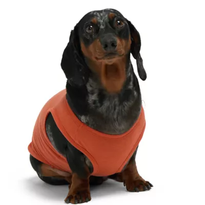 Product Hotel Doggy "Howdy" Lasso Jersey Tank Top T-shirt for Dogs
