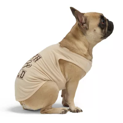 Product Hotel Doggy "Born To Be Wild" Jersey Tank Top T-shirt for Dogs