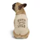 Product Hotel Doggy "Born To Be Wild" Jersey Tank Top T-shirt for Dogs
