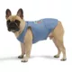 Product Hotel Doggy "Infinity Love & Roses" Jersey Tank Top T-shirt for Dogs