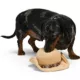 Product Hotel Doggy Dog Toy Cowboy Hat O/S