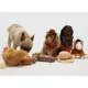 Product Hotel Doggy Dog Toy Cowboy Hat O/S