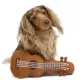 Product Hotel Doggy Dog Toy Guitar O/S