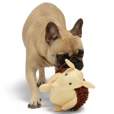 Product Hotel Doggy Dog Toy Armadillo O/S