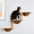 Whisker City® Triple Level Wall Mounted Cat Perch image thumbnail 1