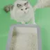 Dofu Cat Tofu Spa Cat Litter image thumbnail 5
