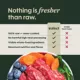 Product Instinct® FreshRaw Meals Adult Frozen Dog Food - Cage-Free Chicken