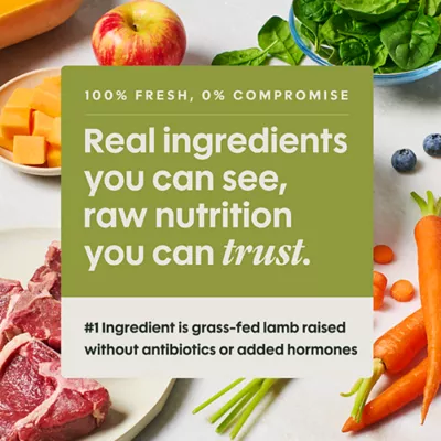 Product Instinct® FreshRaw Meals Adult Frozen Dog Food - Grass-Fed Lamb