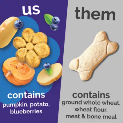 Fruitables Baked All Life Stages Dog Treats - Pumpkin & Blueberry - Image 4