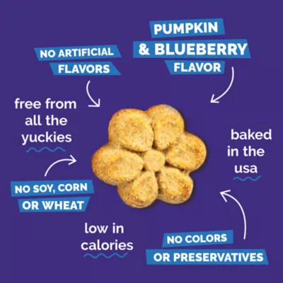 Fruitables Baked All Life Stages Dog Treats - Pumpkin & Blueberry - Image 5