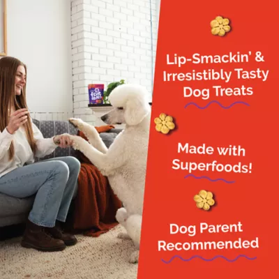 Fruitables Baked All Life Stages Dog Treats - Apple & Bacon - Image 3