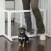 Richell® Freestanding Pet Gate image thumbnail 2