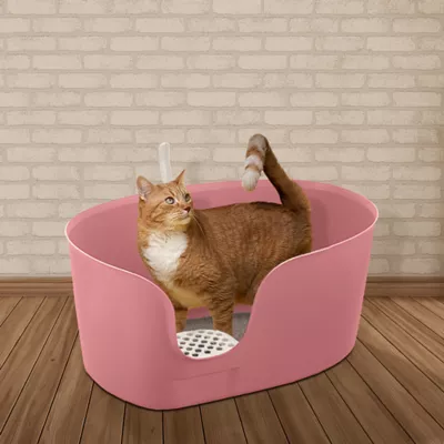 Richell® PAW TRAX High Wall Cat Litter Box - Image 2