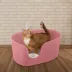 Richell® PAW TRAX High Wall Cat Litter Box image thumbnail 2