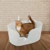 Richell® PAW TRAX High Wall Cat Litter Box image thumbnail 2