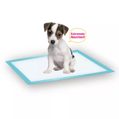 Richell® PAW TRAX Super Absorbant Potty Pads For Puppys & Dogs, Quick Drying & Odor Control Layers - Image 5