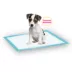 Richell® PAW TRAX Super Absorbant Potty Pads For Puppys & Dogs, Quick Drying & Odor Control Layers image thumbnail 5