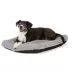 Top Paw® Cozy Pillow Dog Bed image thumbnail 1