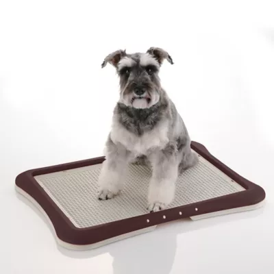 Product Richell PAW TRAX® Mesh Training Tray
