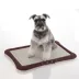 Richell PAW TRAX® Mesh Training Tray image thumbnail 4